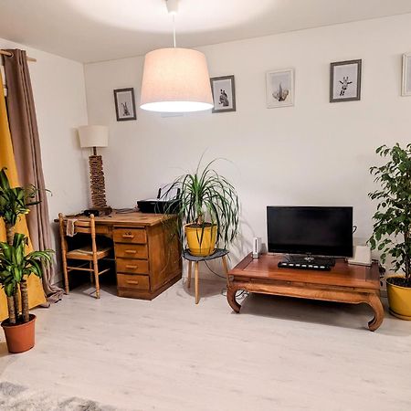 Appartement Cocooning Perpignan Exterior photo